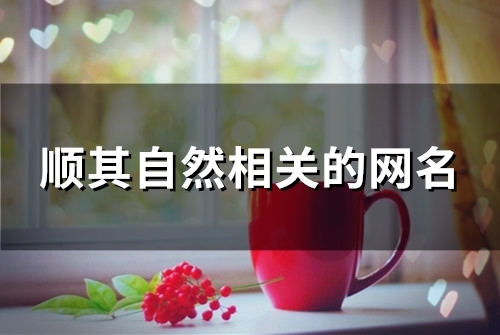 顺其自然相关的网名(精选106个)