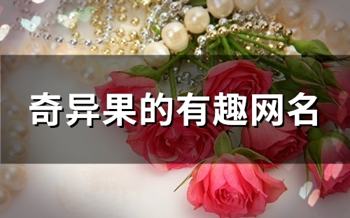 奇异果的有趣网名(精选156个)