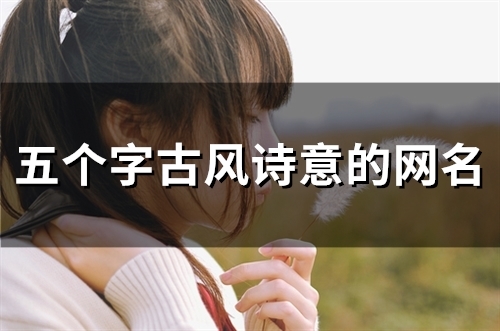 五个字古风诗意的网名(精选149个)