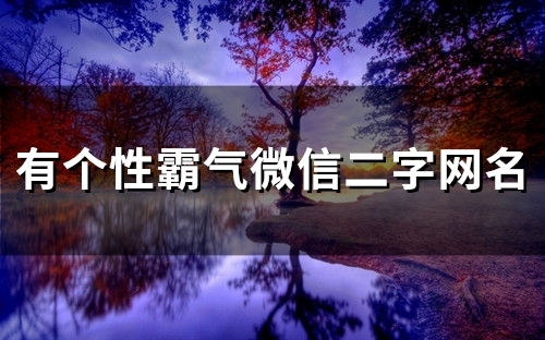 有个性霸气微信二字网名(101个)