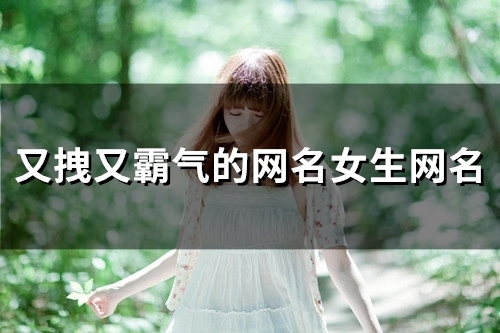 又拽又霸气的网名女生网名(150个)