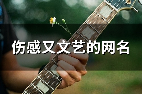 伤感又文艺的网名(157个) 伤感又文艺的网名(157个)