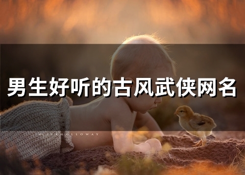 男生好听的古风武侠网名(精选158个)