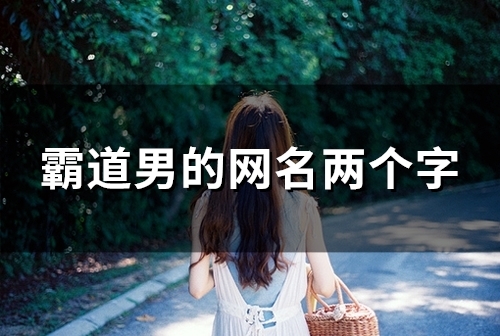 霸道男的网名两个字(精选85个)