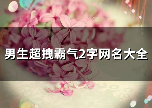 男生超拽霸气2字网名大全(100个)