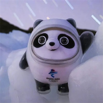 2023最火的冰墩墩头像(18张)