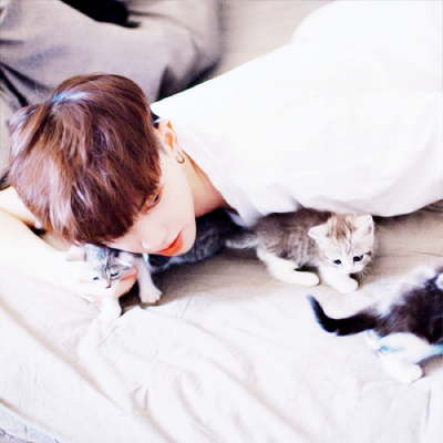 图片壁纸2023最火男生头像(24张)