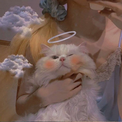 微信头像2023独一无二猫(34张)