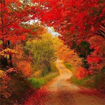 最好看的微信头像景色(24张)