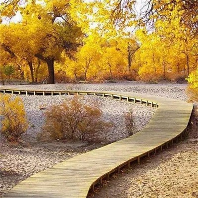 最好看的微信头像景色(24张)