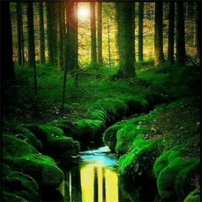 最好看的微信头像景色(24张)