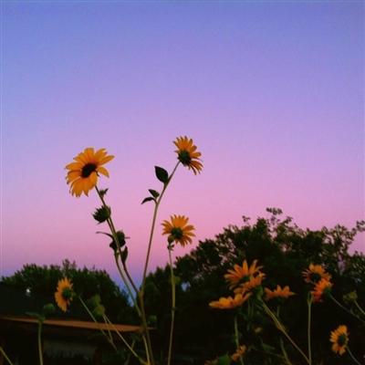 最新好看的微信头像风景图片大全(精选24张)