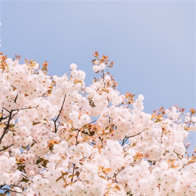 最新好看的微信头像风景图片大全(精选24张)