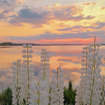 超好看的微信风景头像(精选18张)