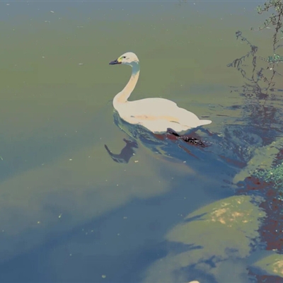 超好看的微信风景头像(精选18张)