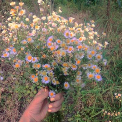 百看不厌的景色微信头像(精选18张)