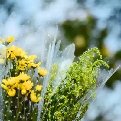 百看不厌的景色微信头像(精选18张)