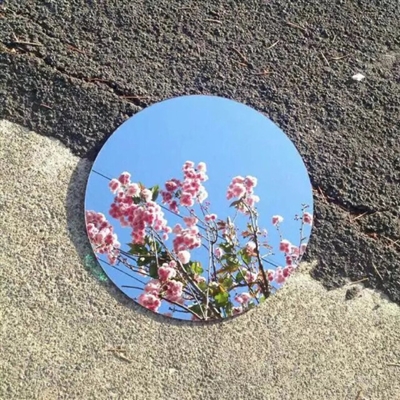 好看景色的微信头像(精选22张)