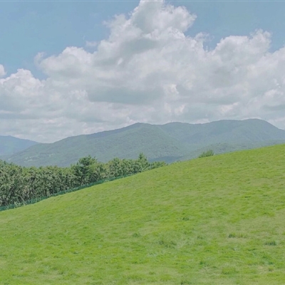 好看景色的微信头像(精选22张)