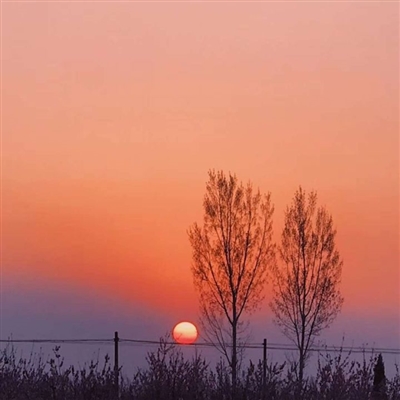 好看景色的微信头像(精选22张)