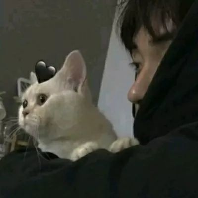 微信好看的男头(16张)