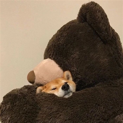 美到爆的头像(20张)