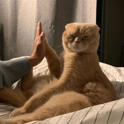 萌到爆的情侣头像(24张)