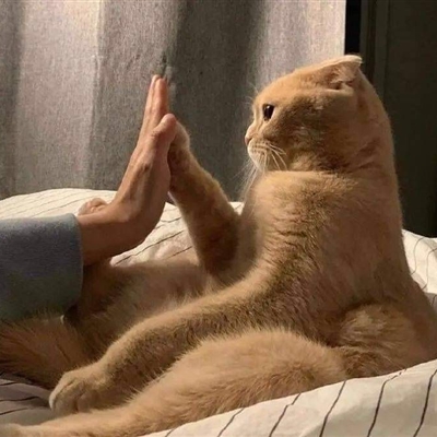 萌到爆的情侣头像(24张)