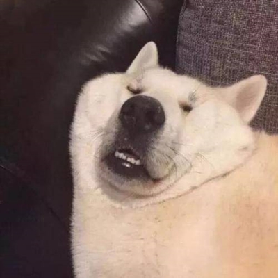 笑到窒息的沙雕头像(精选24张)