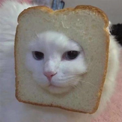 笑到窒息的沙雕头像(精选24张)