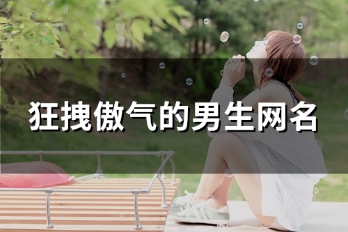 狂拽傲气的男生网名(精选94个)
