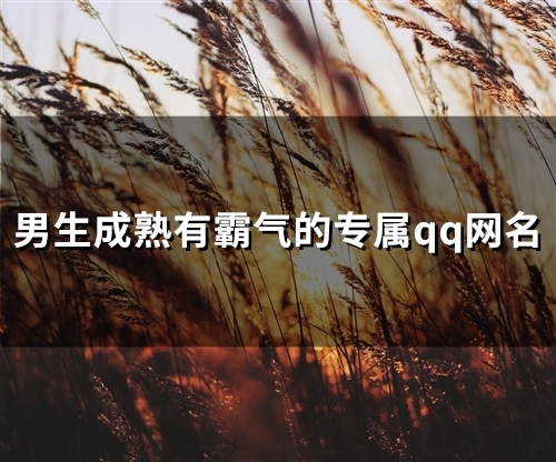 男生成熟有霸气的专属qq网名(147个)