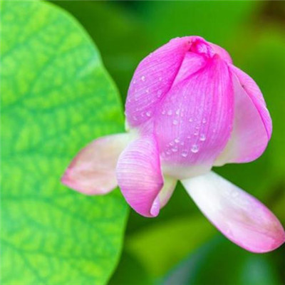 微信2023最流行的头像(15张)