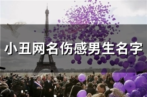 小丑网名伤感男生名字(82个)