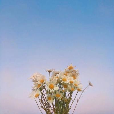 免费头像图片大全2023最新版(33张)