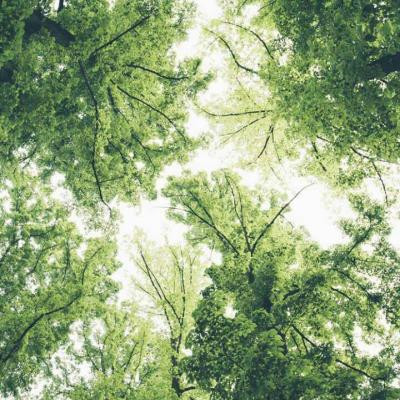 免费头像图片大全2023最新版(33张)