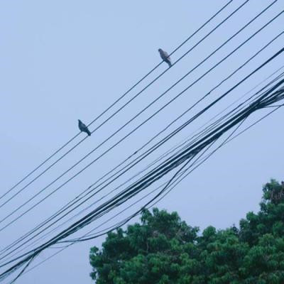 免费头像图片大全2023最新版(33张)