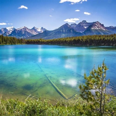 永久吸引人的微信头像(24张)