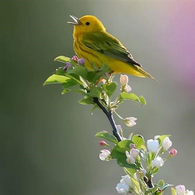 永久吸引人的微信头像(24张)