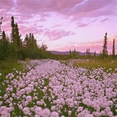 适合永久做头像的图片2023(16张)