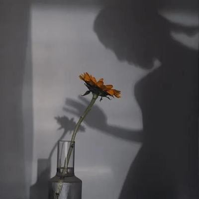 高端有品位的微信头像(精选24张)