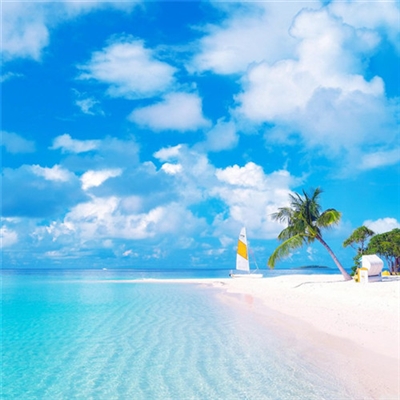 充满阳光朝气的微信头像(24张)