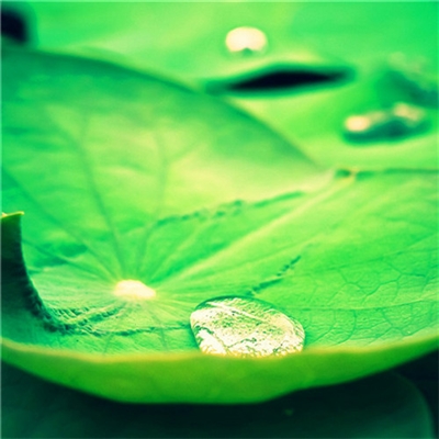 充满阳光朝气的微信头像(24张)