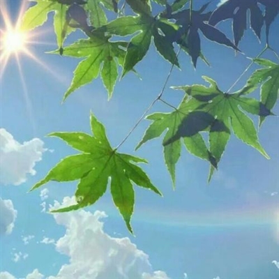 充满阳光朝气的微信头像(24张)