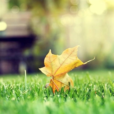 充满阳光朝气的微信头像(24张)