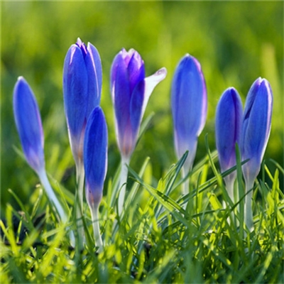 充满阳光朝气的微信头像(24张)