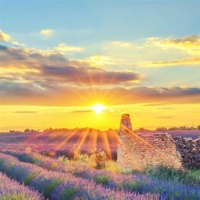 充满阳光朝气的微信头像(24张)