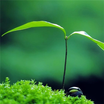 充满阳光朝气的微信头像(24张)