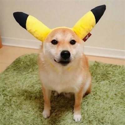 最近抖音上很火的头像(18张)