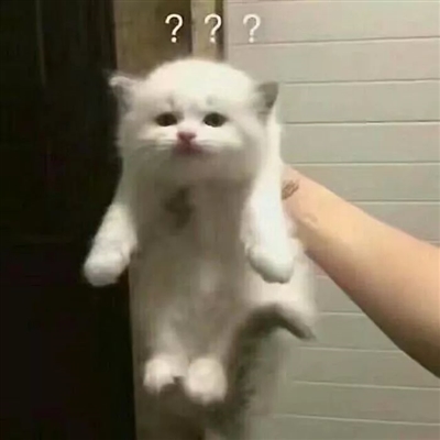 最近抖音上很火的头像(18张)